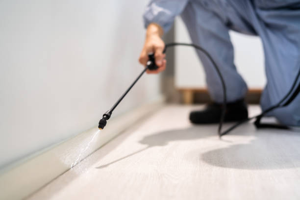 Licensed Fumigation Services service in Frostburg, MD - Nex Pest Control