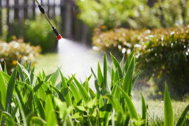 24/7 Emergency Fumigation Services experts in Frostburg, MD