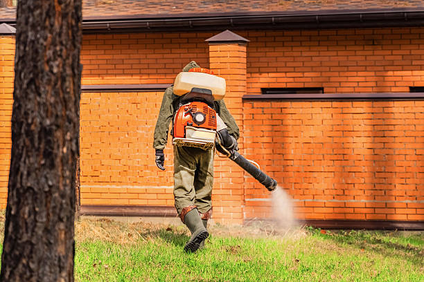 Trusted Rodent Control service in Frostburg, MD - Nex Pest Control